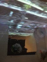 sciogliere e retrovare 17