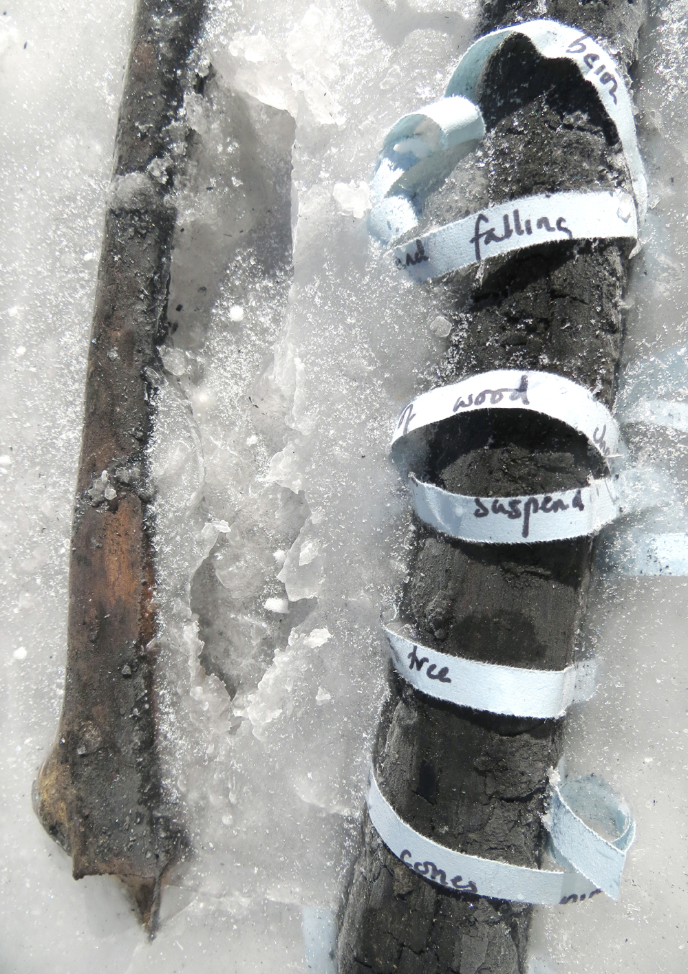 I Irsara Charcoal Text 1 sml